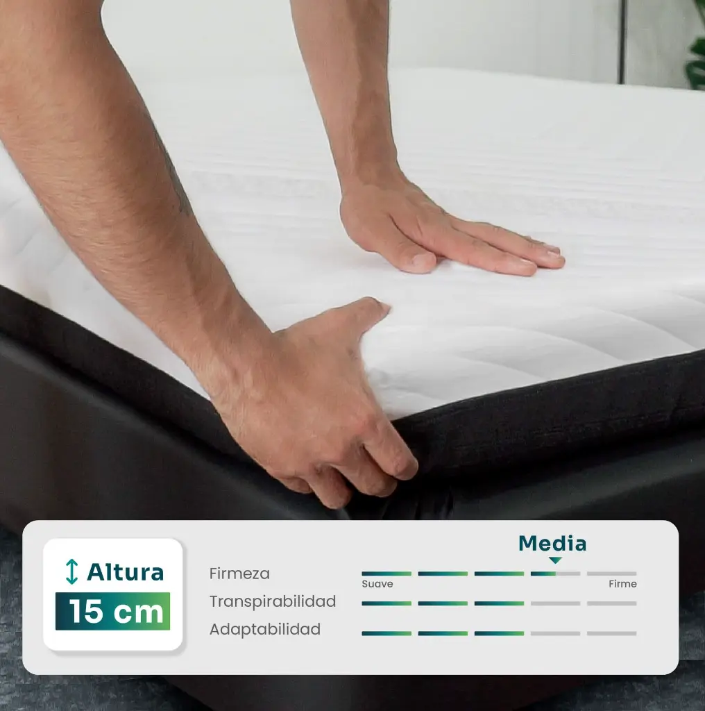 detalle firmeza E15.webp